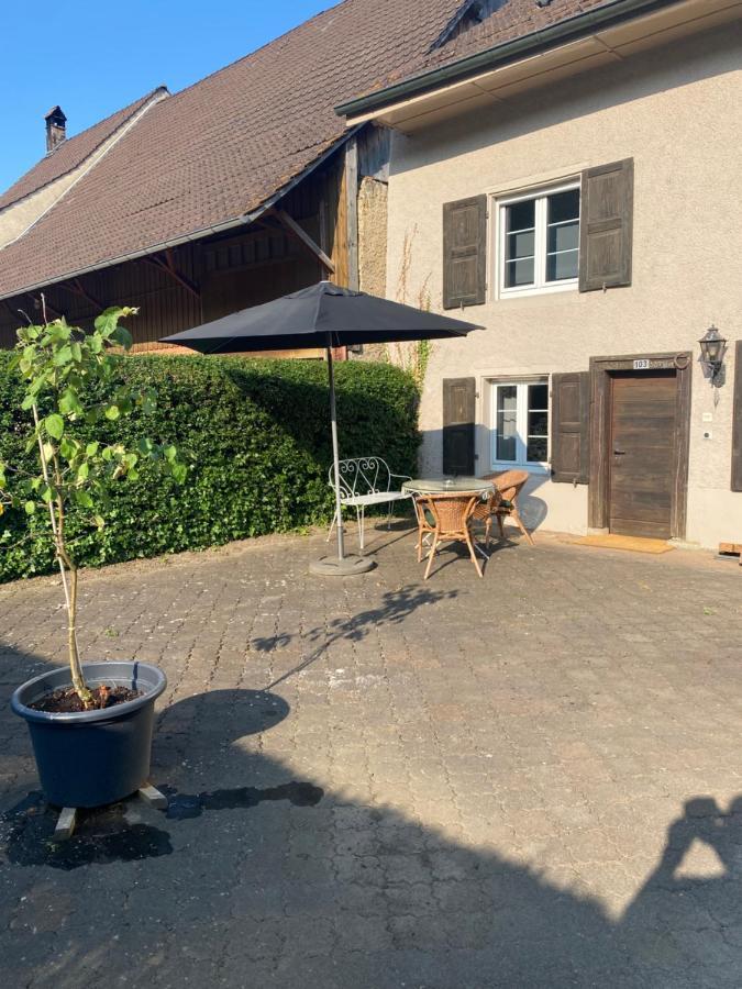 Ruhige 2 Zimmer Wohnung Diegten Exterior photo